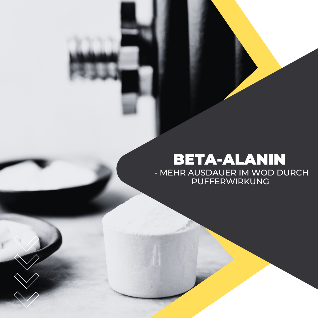 Beta-Alanin